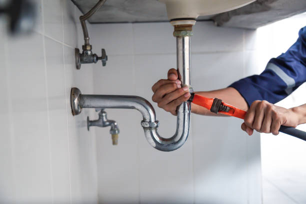 Best Clogged Drain Plumber  in Beach Haven, NJ
